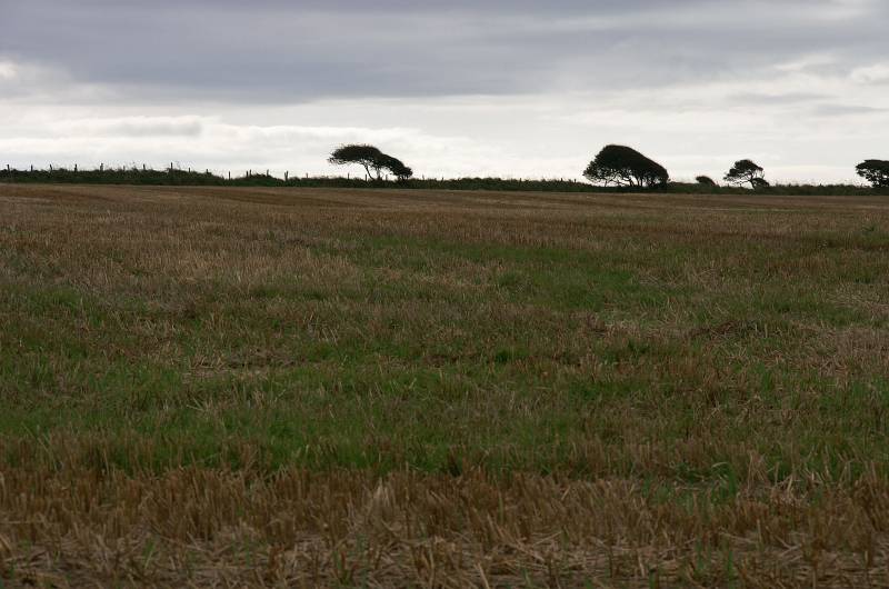 Port-Eynon